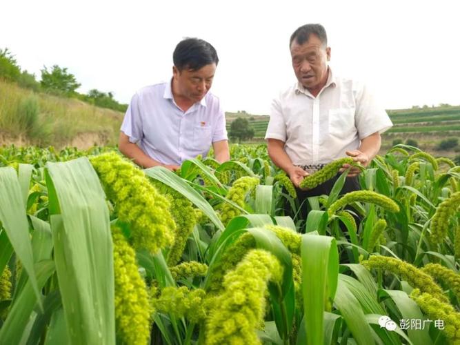 白岔村引导群众进行农作物病虫害防治