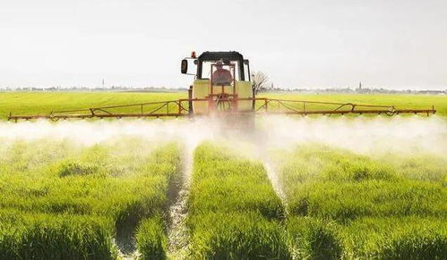 权威发布 农作物病虫害专业化防治服务管理办法
